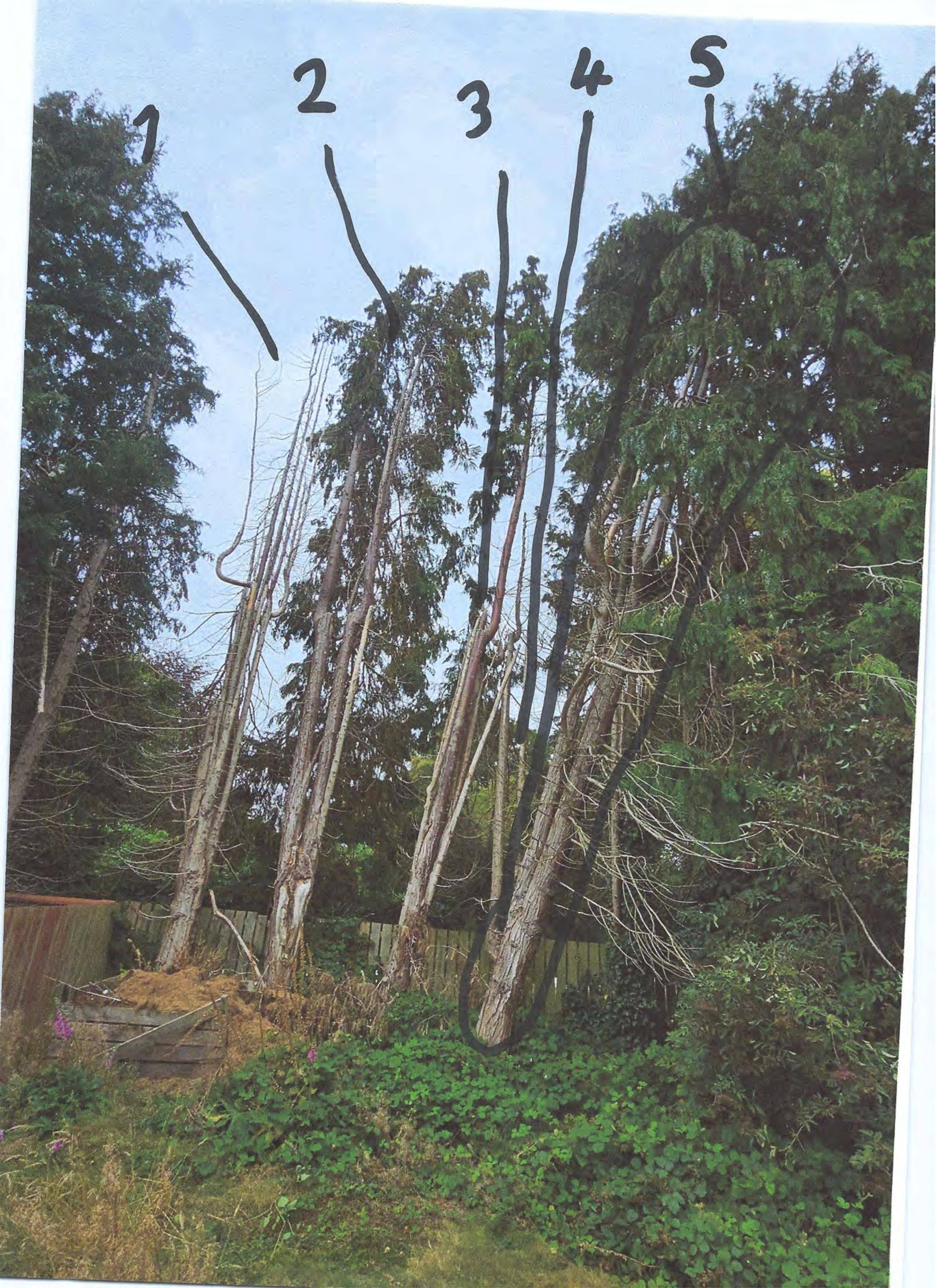 Document 3