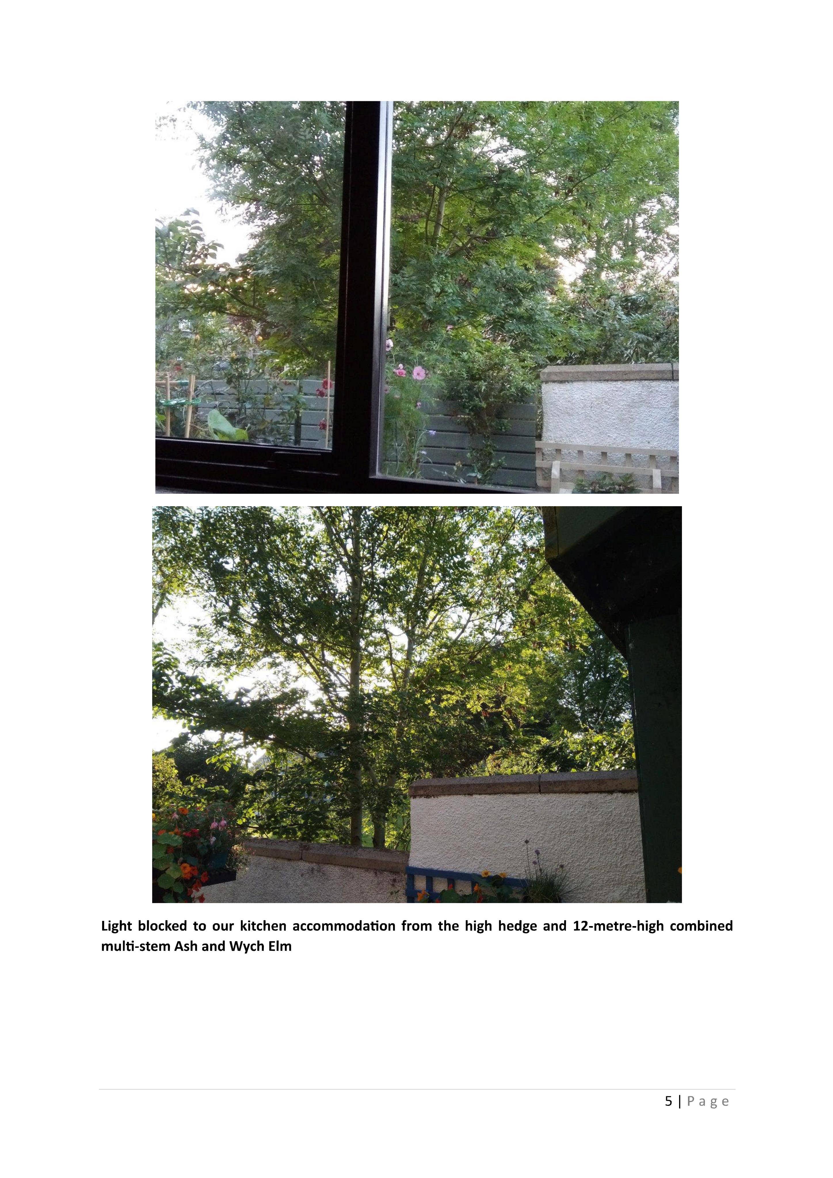 Document 4