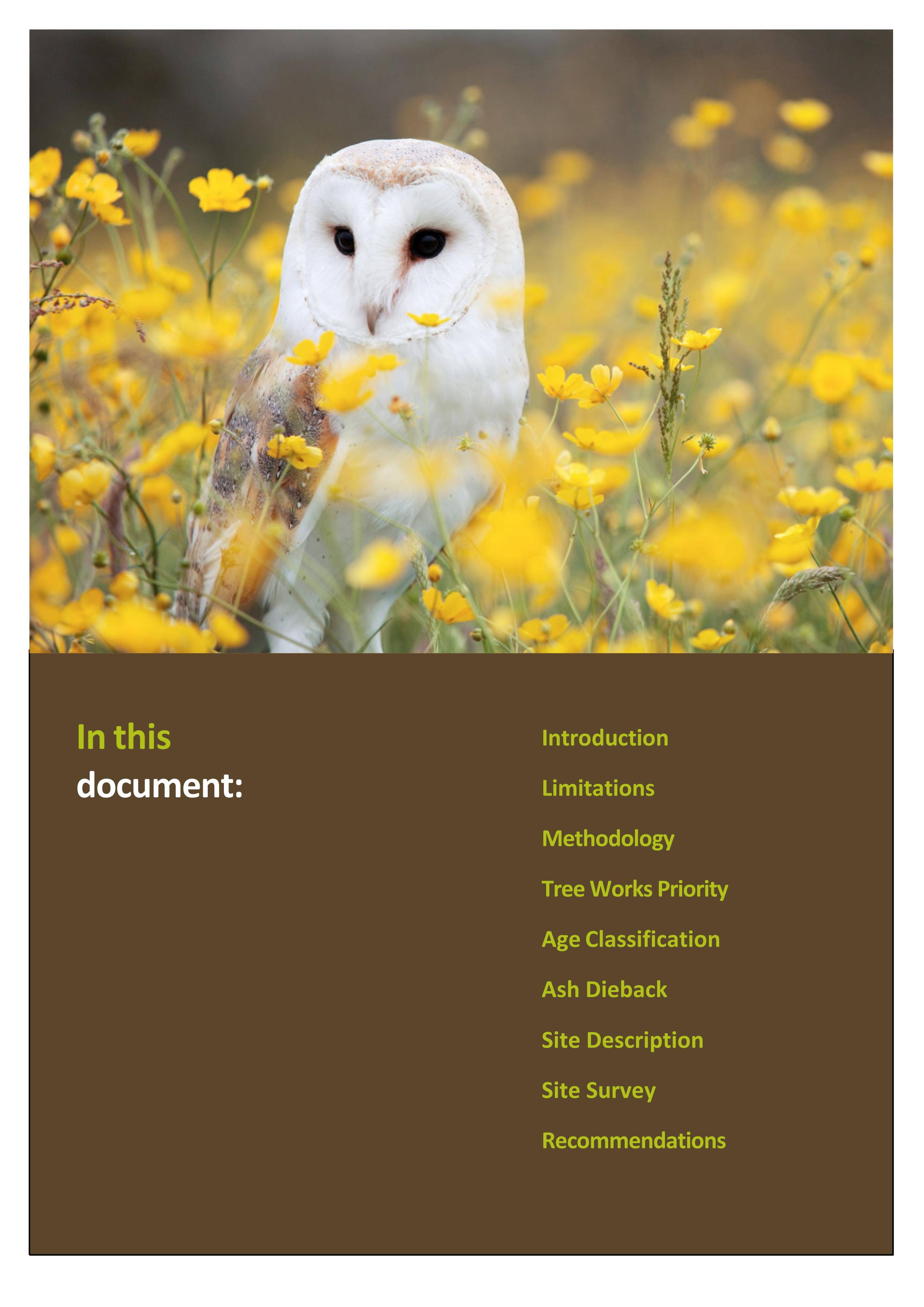 Document 3