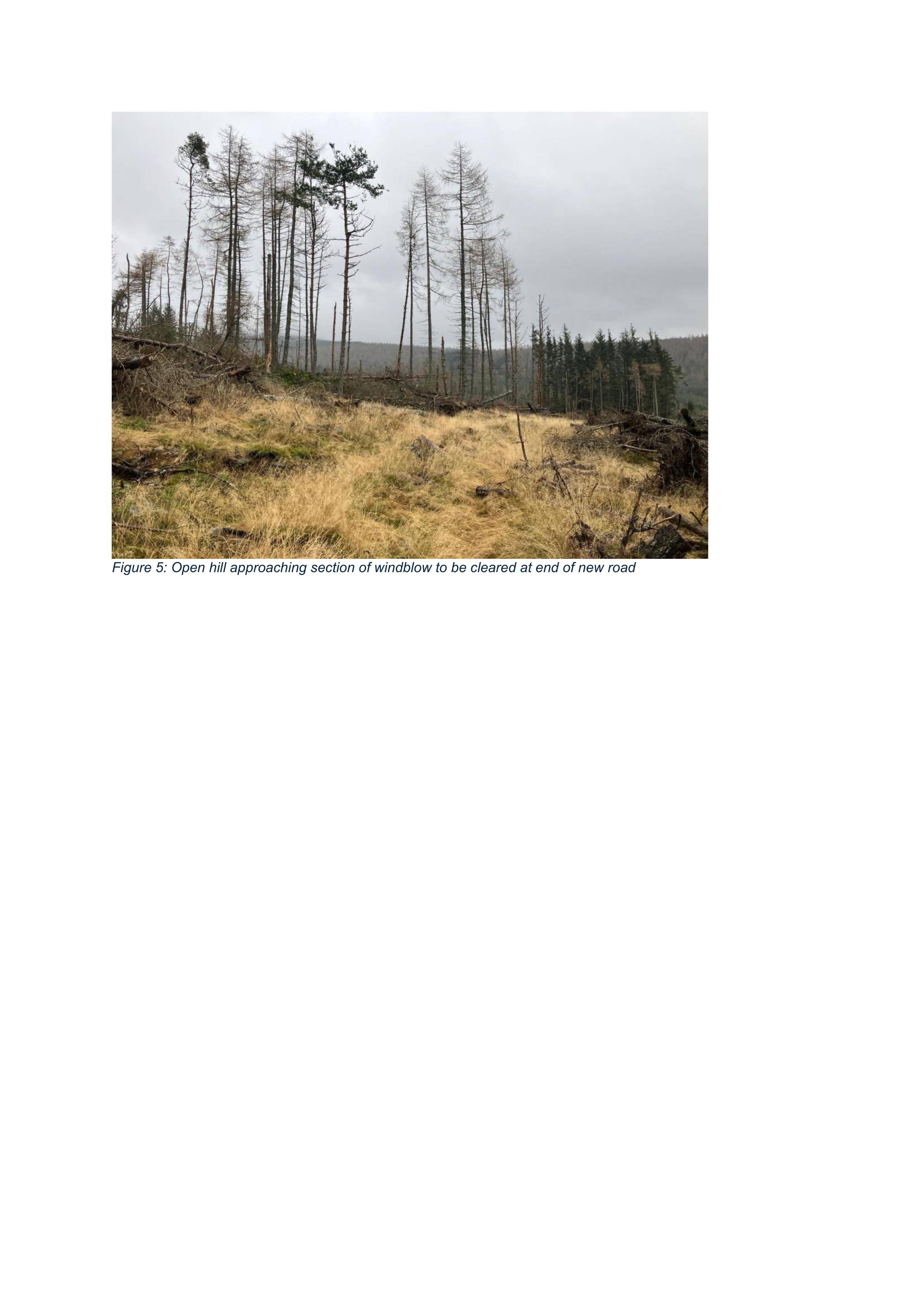 Document 4