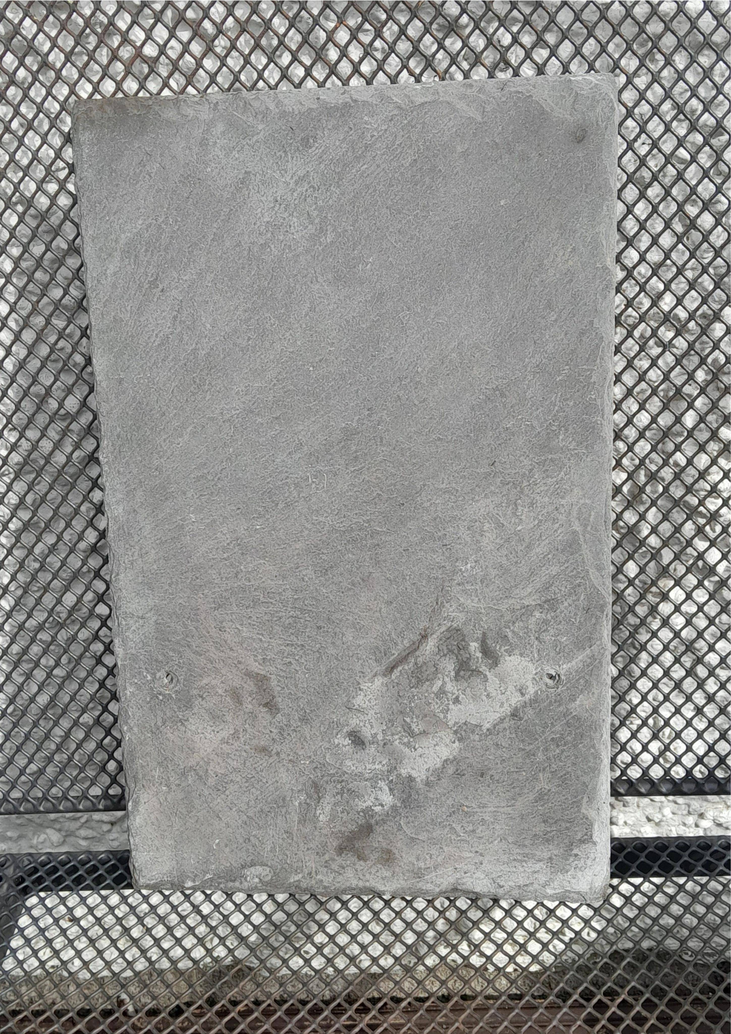 Document 4