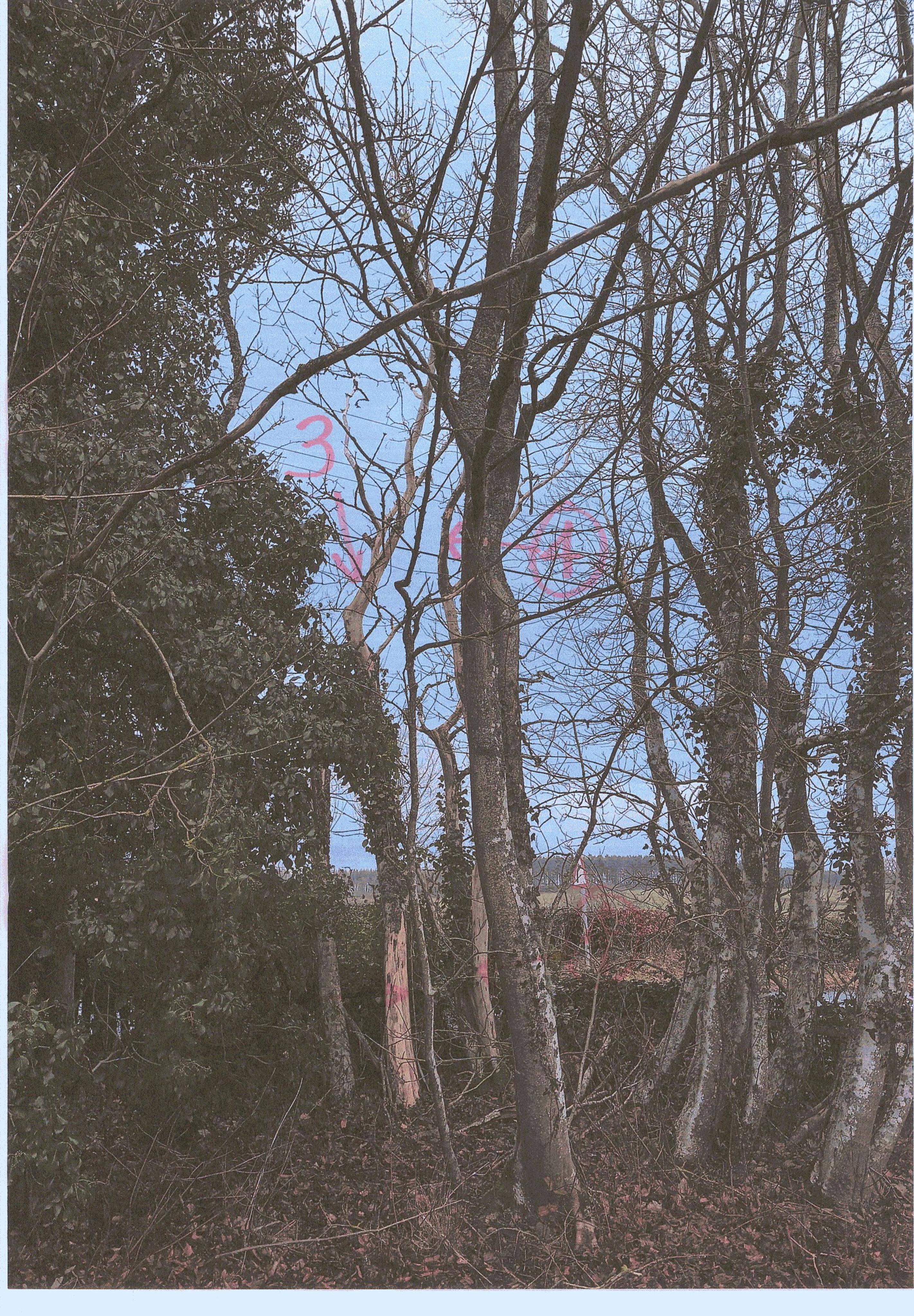 Document 3