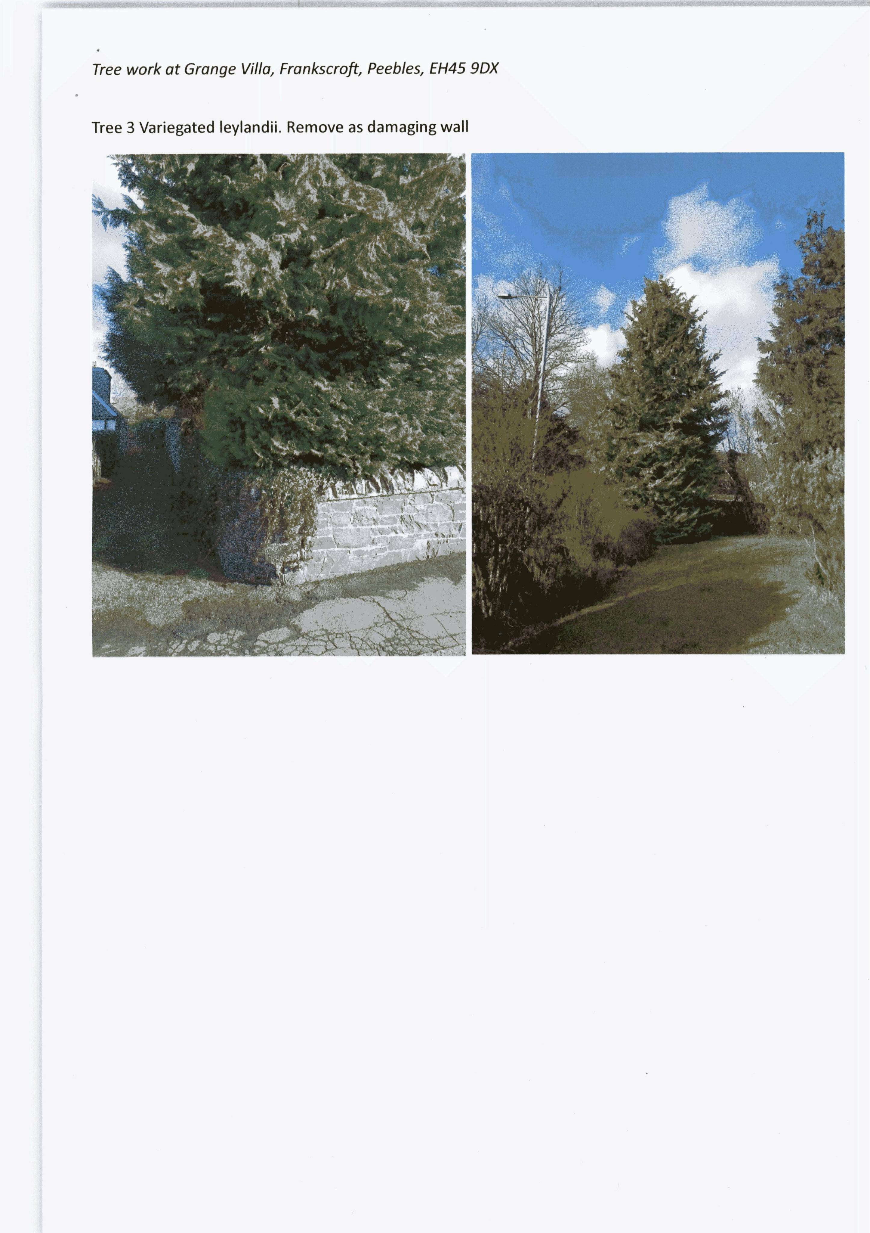 Document 3