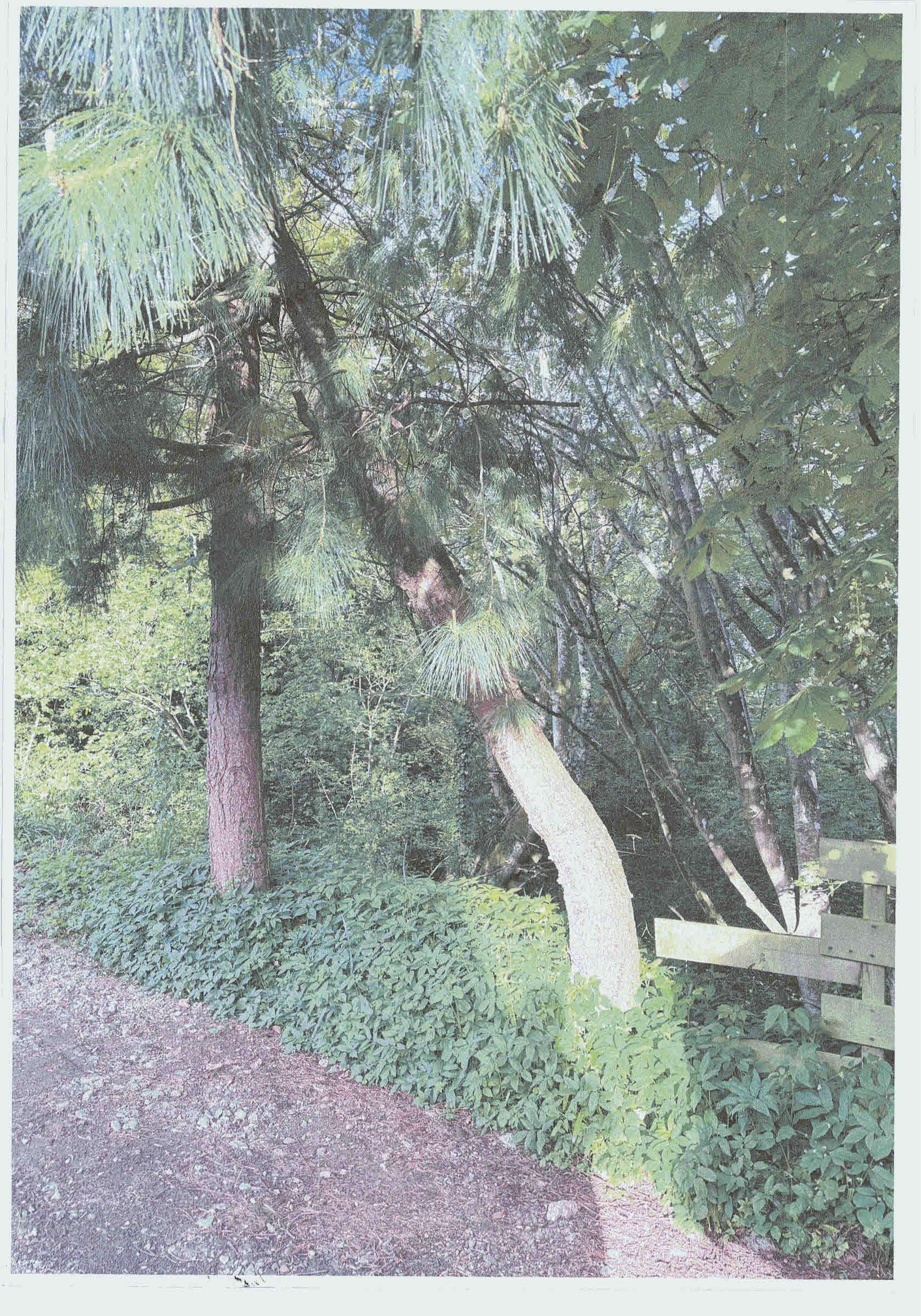 Document 3
