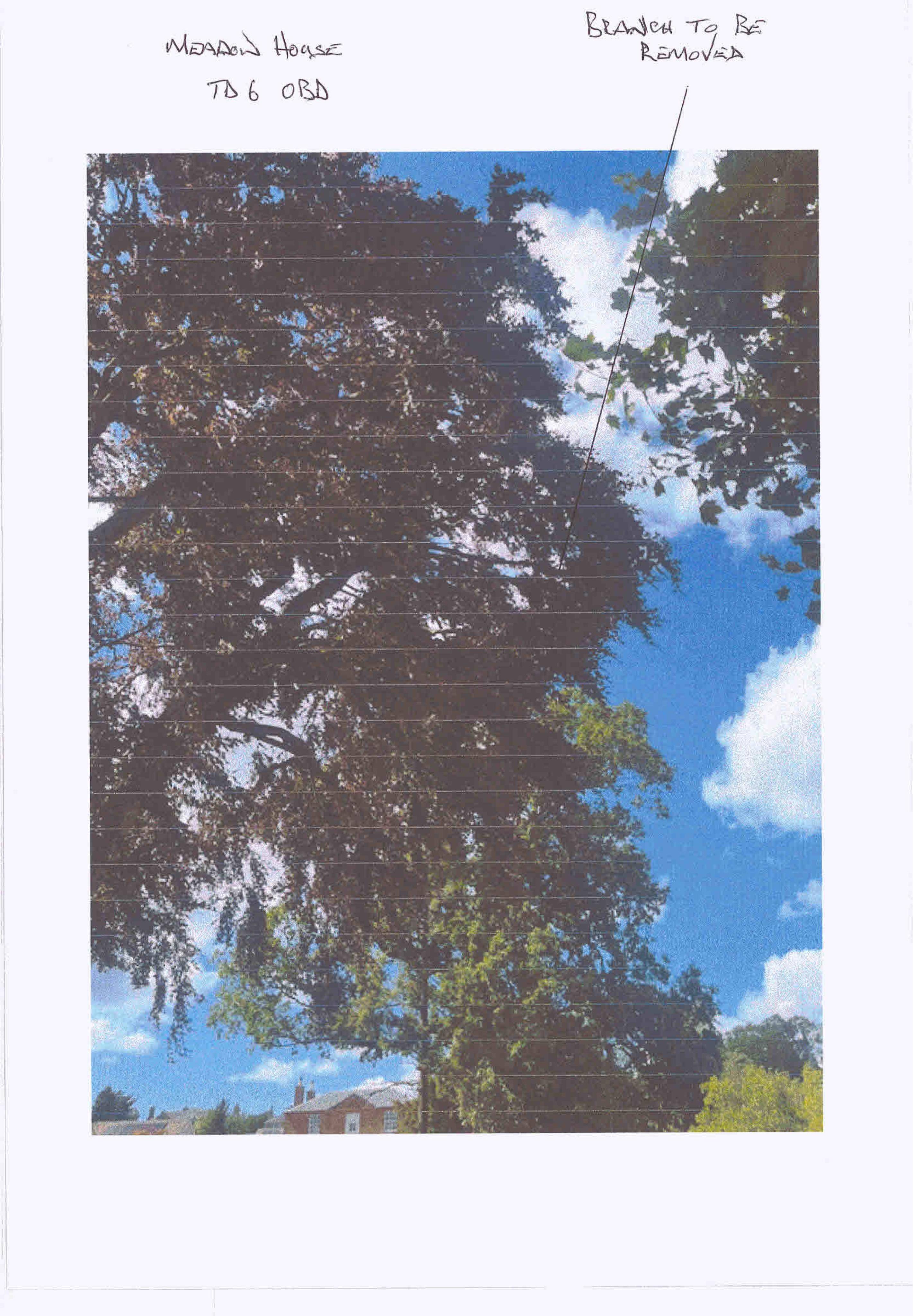 Document 3