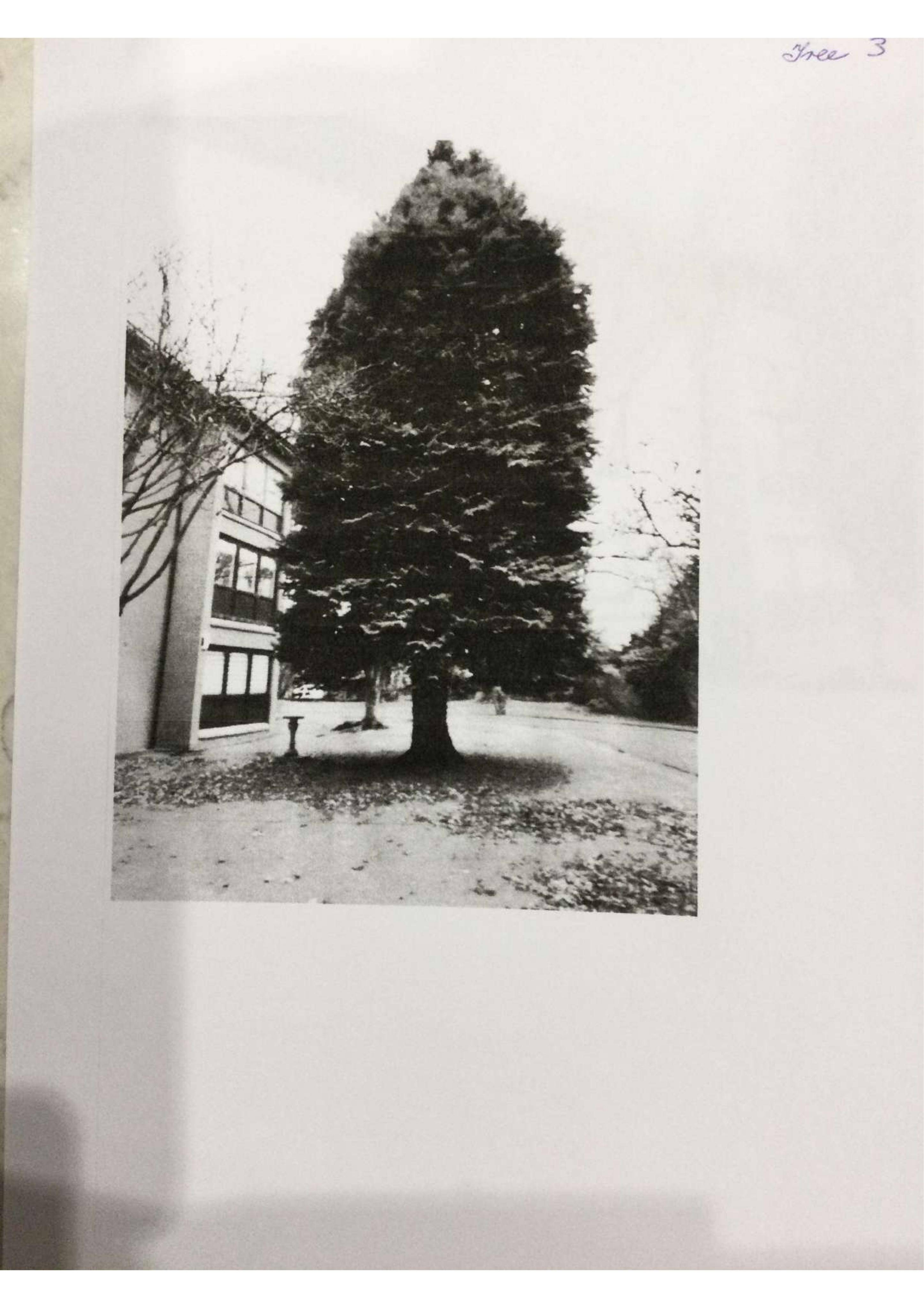 Document 3